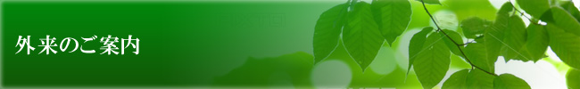 外来のご案内