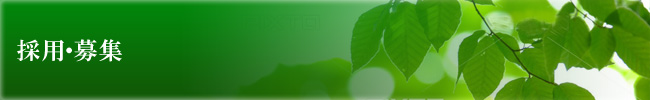 採用・募集